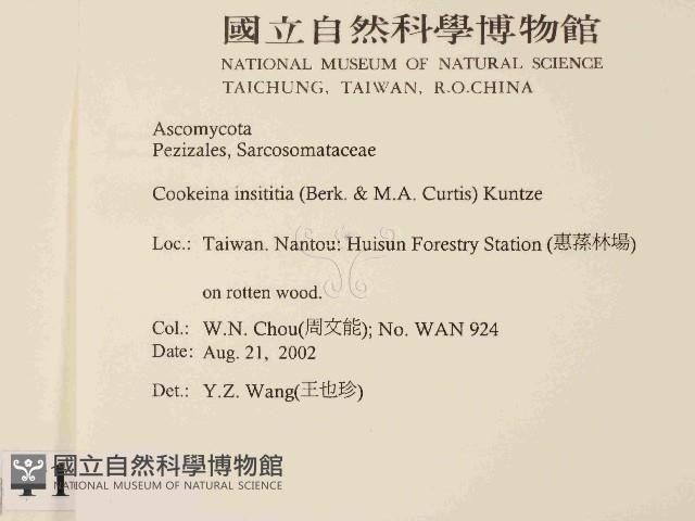 登錄號:F0014634藏品圖，第2張