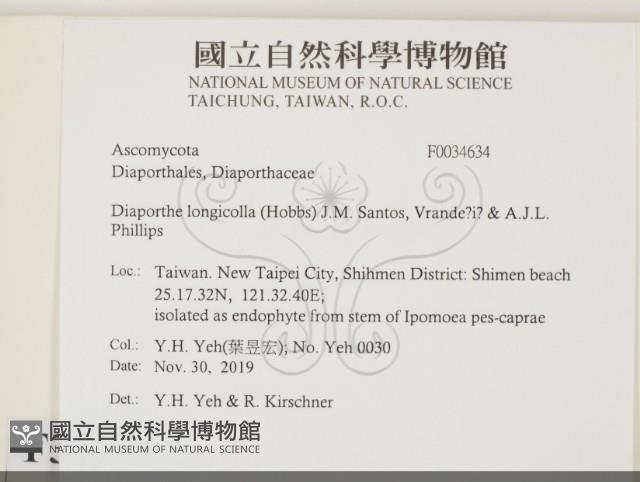 登錄號:F0034634藏品圖，第2張