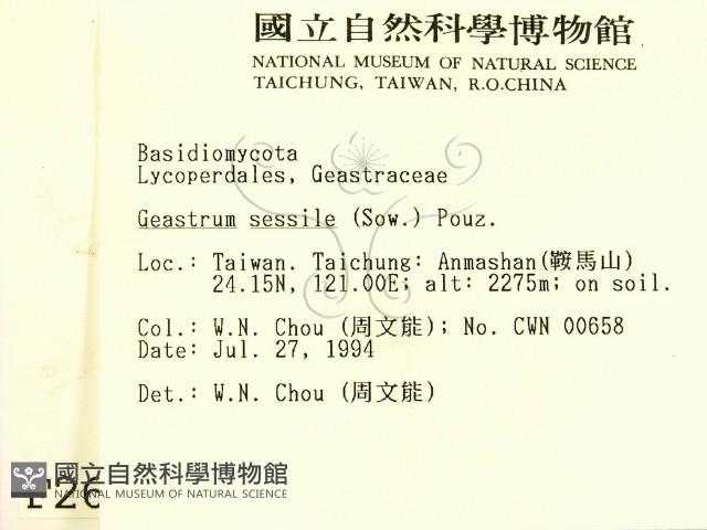 登錄號:F0002634藏品圖，第2張