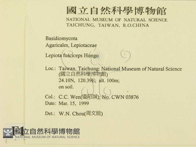 登錄號:F0012634藏品圖，第2張