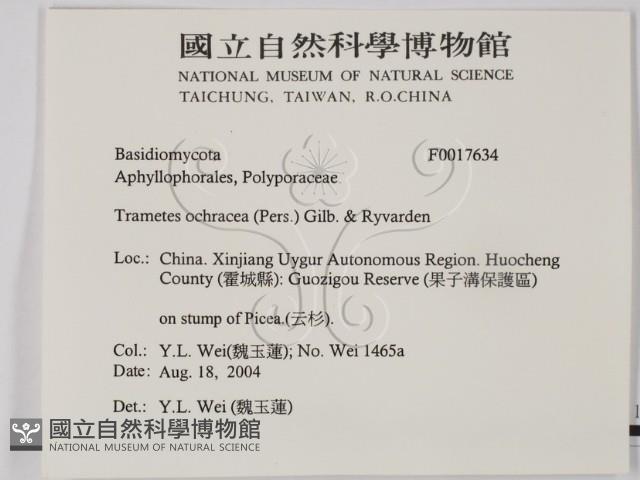 登錄號:F0017634藏品圖，第2張