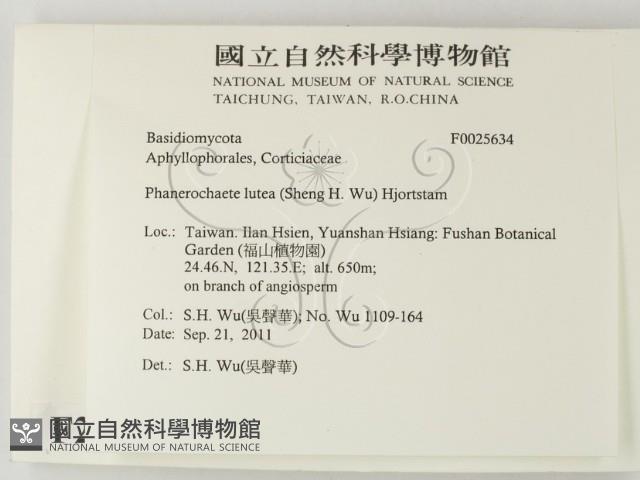 登錄號:F0025634藏品圖，第2張