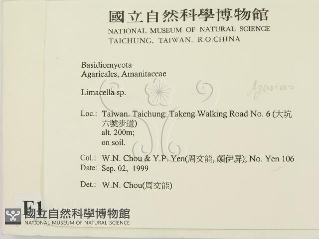 登錄號:F0015634藏品圖，第2張