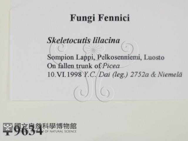 登錄號:F0009634藏品圖，第2張