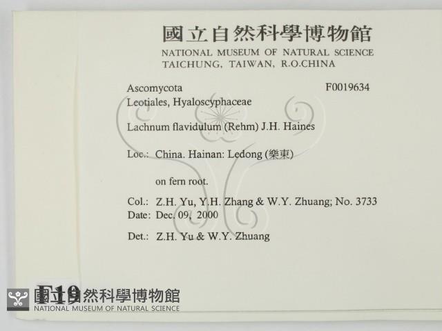 登錄號:F0019634藏品圖，第2張