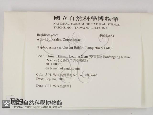 登錄號:F0023634藏品圖，第2張