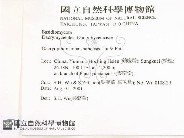 登錄號:F0013634藏品圖，第2張