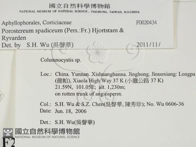登錄號:F0020434藏品圖，第2張