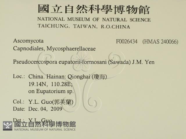 登錄號:F0026434藏品圖，第2張