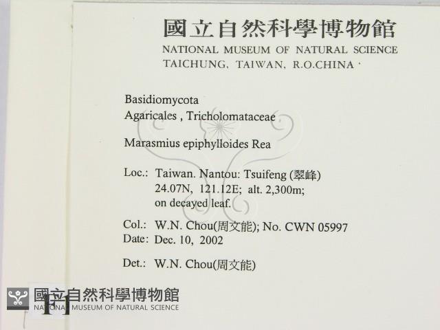 登錄號:F0016434藏品圖，第2張