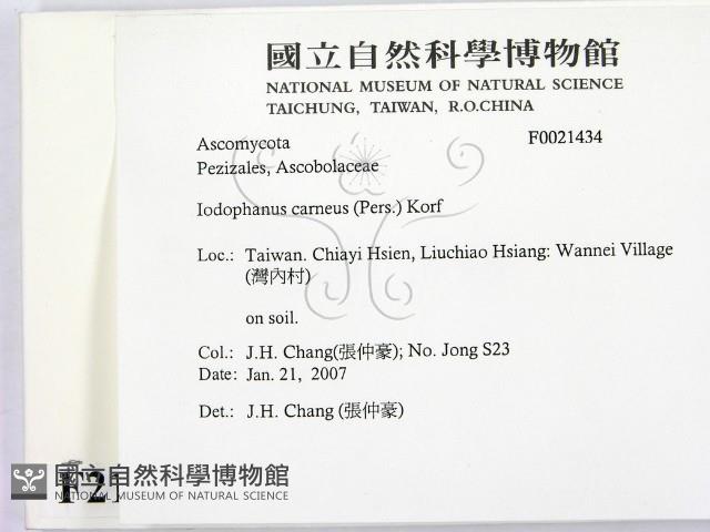 登錄號:F0021434藏品圖，第2張