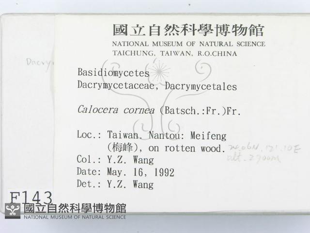 登錄號:F0001434藏品圖，第2張