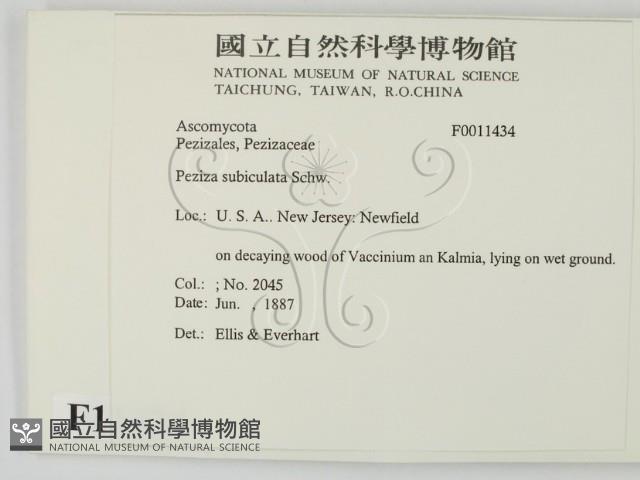 登錄號:F0011434藏品圖，第2張