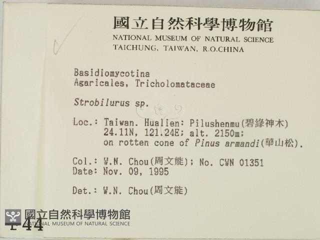 登錄號:F0004434藏品圖，第2張