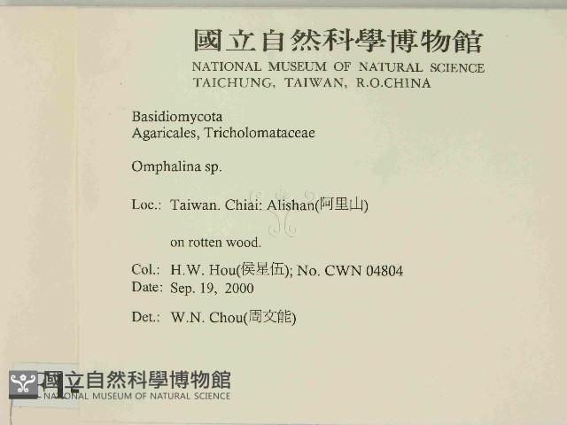 登錄號:F0014434藏品圖，第2張