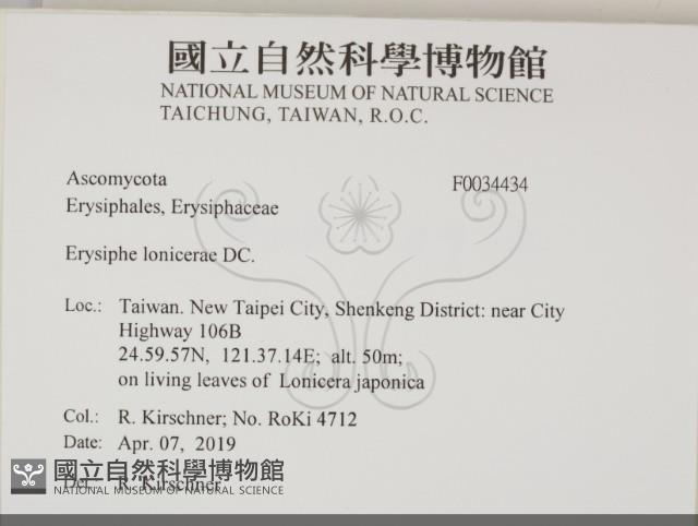 登錄號:F0034434藏品圖，第2張