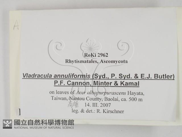 登錄號:F0022434藏品圖，第2張