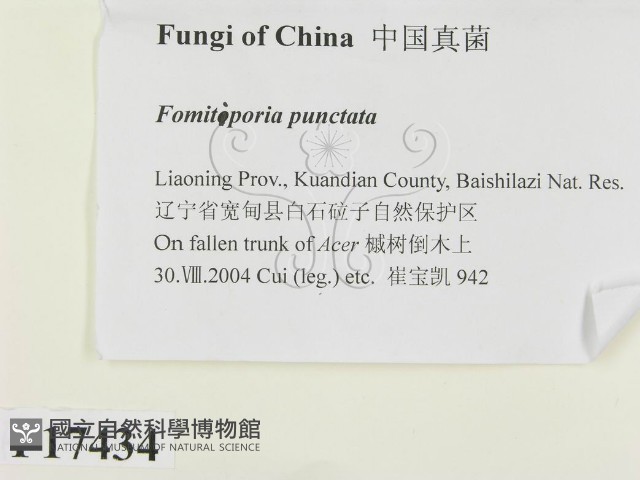 登錄號:F0017434藏品圖，第2張