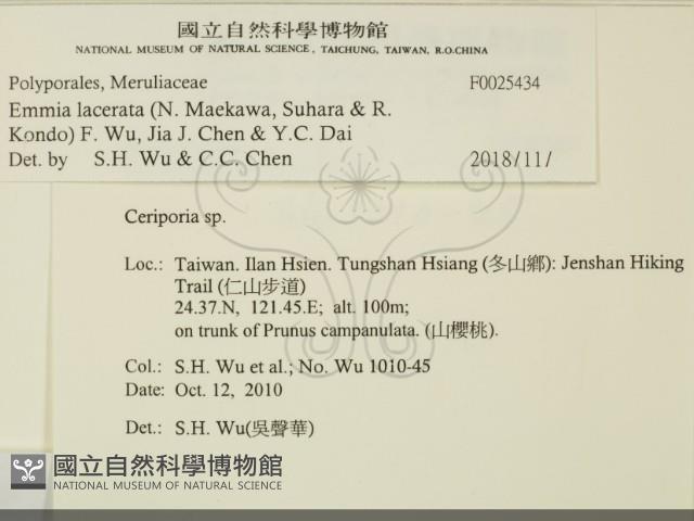 登錄號:F0025434藏品圖，第2張