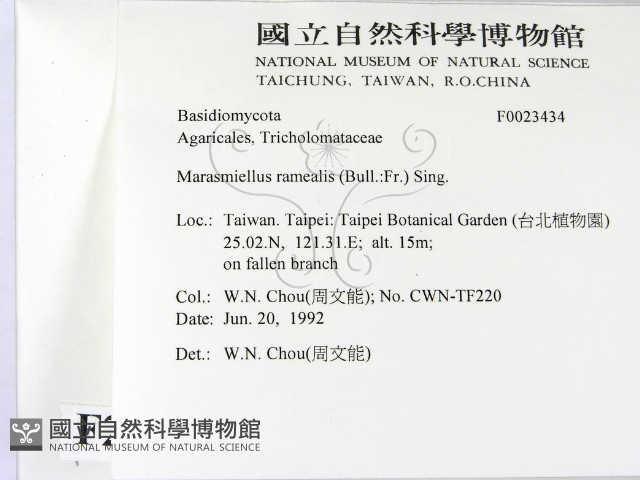 登錄號:F0023434藏品圖，第2張