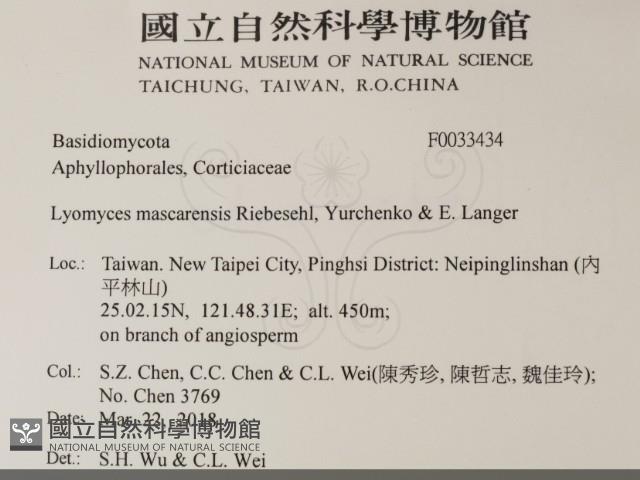 登錄號:F0033434藏品圖，第2張