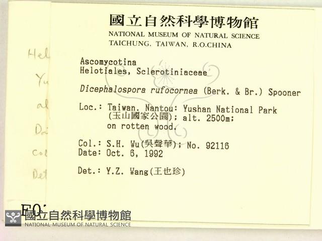 登錄號:F0000734藏品圖，第2張