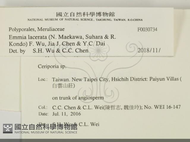 登錄號:F0030734藏品圖，第2張