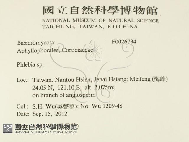 射脈菌屬藏品圖，第2張
