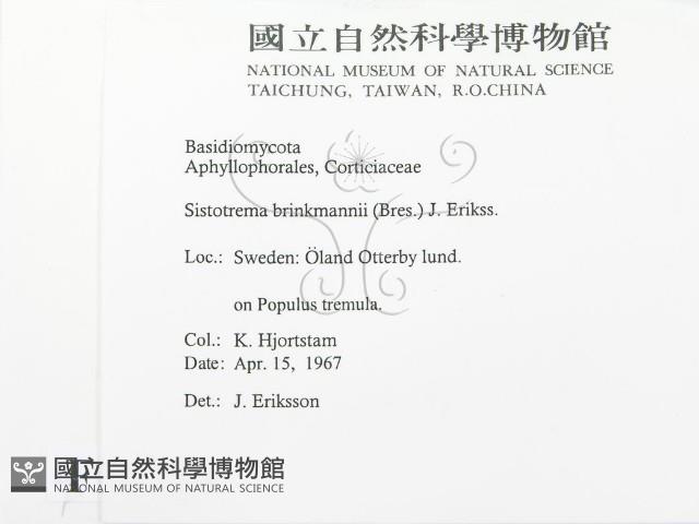 登錄號:F0016734藏品圖，第2張