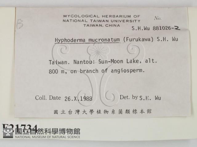 登錄號:F0021734藏品圖，第2張