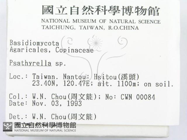 登錄號:F0001734藏品圖，第2張