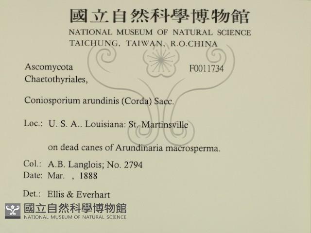 登錄號:F0011734藏品圖，第2張