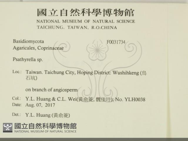 登錄號:F0031734藏品圖，第2張