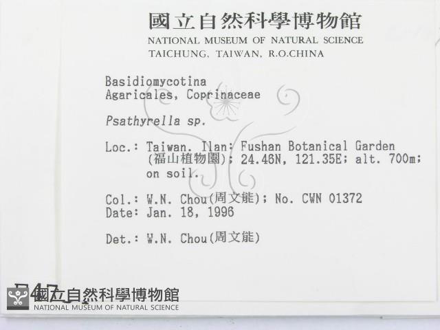 登錄號:F0004734藏品圖，第2張