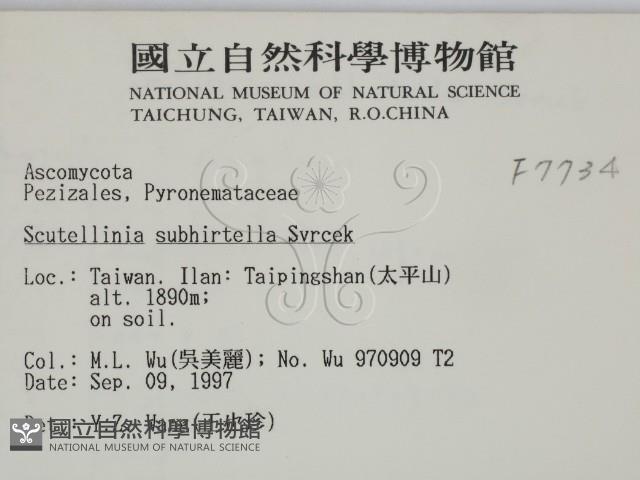 登錄號:F0007734藏品圖，第2張