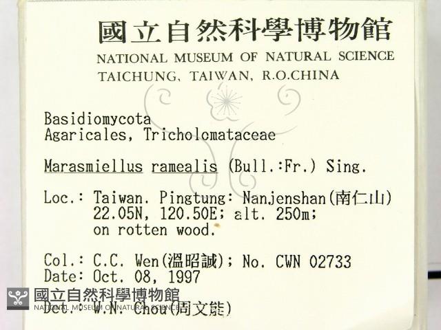 登錄號:F0009734藏品圖，第2張