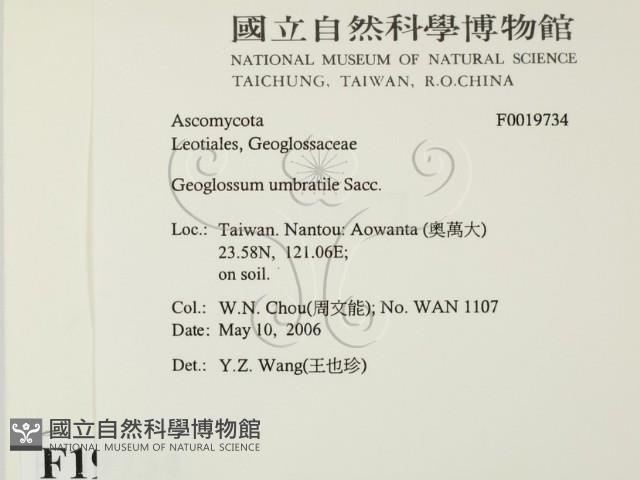登錄號:F0019734藏品圖，第2張