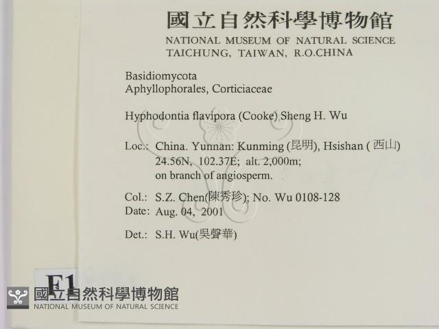 登錄號:F0013734藏品圖，第2張