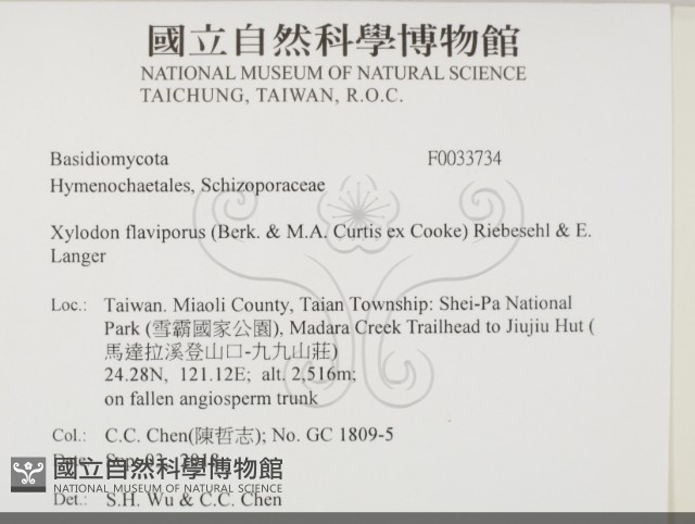 登錄號:F0033734藏品圖，第2張