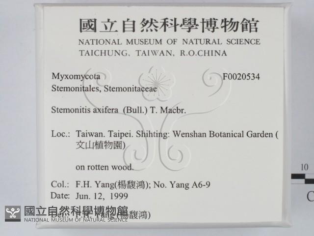 登錄號:F0020534藏品圖，第2張