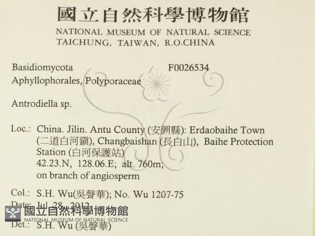 登錄號:F0026534藏品圖，第2張