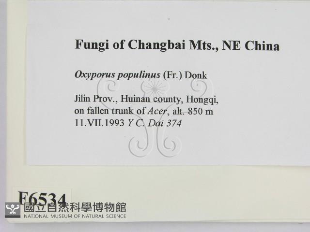 登錄號:F0006534藏品圖，第2張