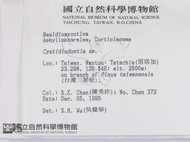 登錄號:F0004534藏品圖，第2張