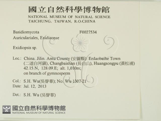 登錄號:F0027534藏品圖，第2張