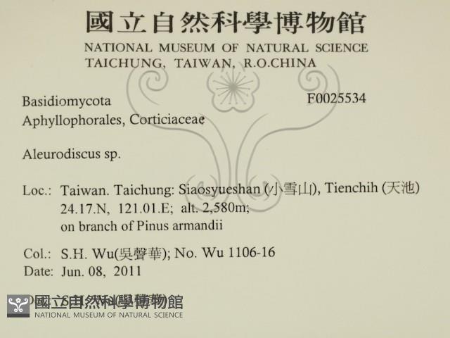 登錄號:F0025534藏品圖，第2張