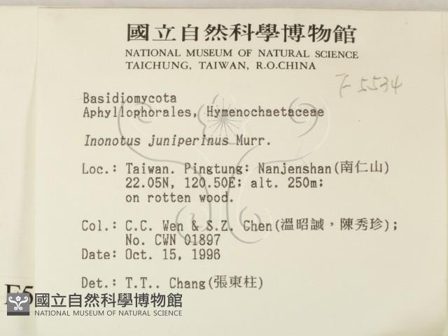 登錄號:F0005534藏品圖，第2張