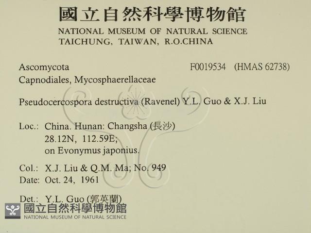 館號:F0019534藏品圖，第2張
