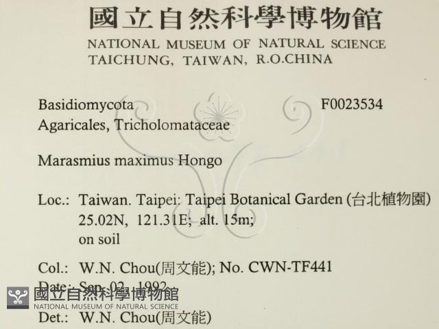 登錄號:F0023534藏品圖，第2張