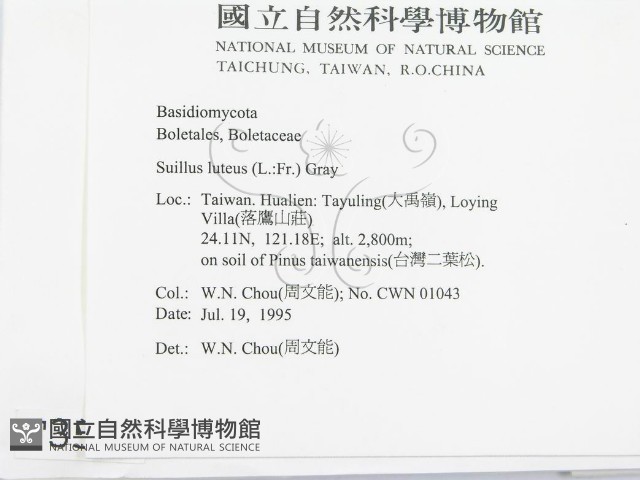 登錄號:F0003534藏品圖，第2張