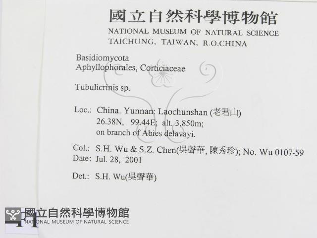 登錄號:F0013534藏品圖，第2張